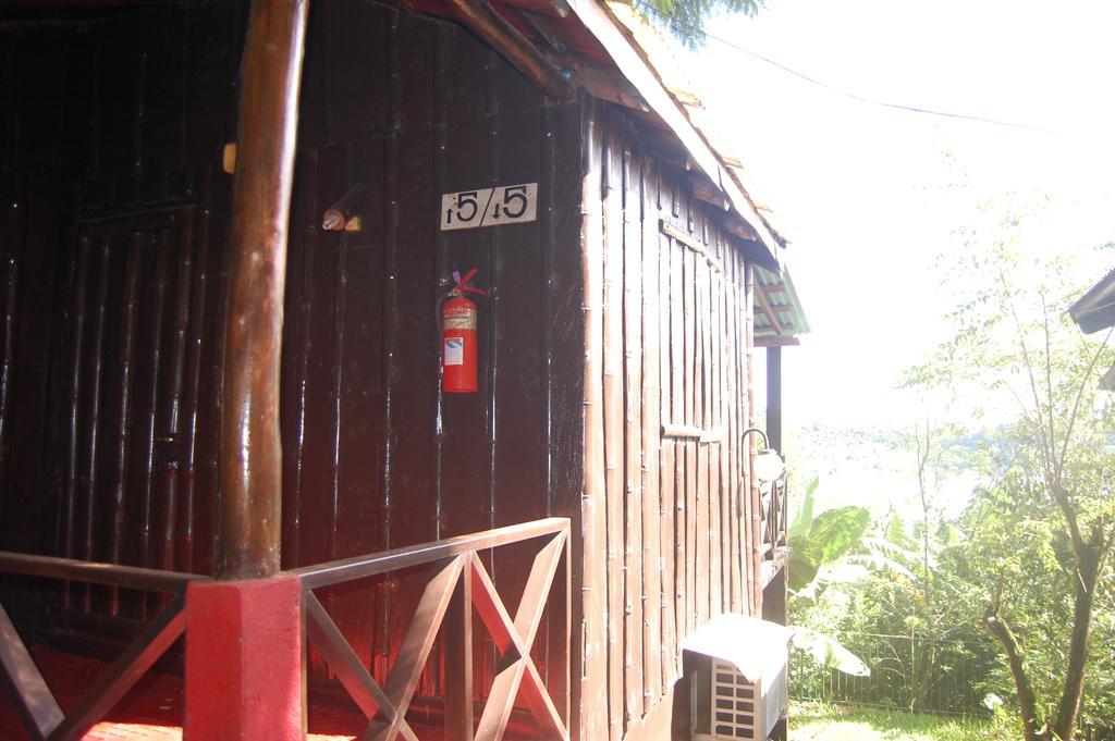Panambi Lodge B&B Puerto Iguazú Exteriör bild
