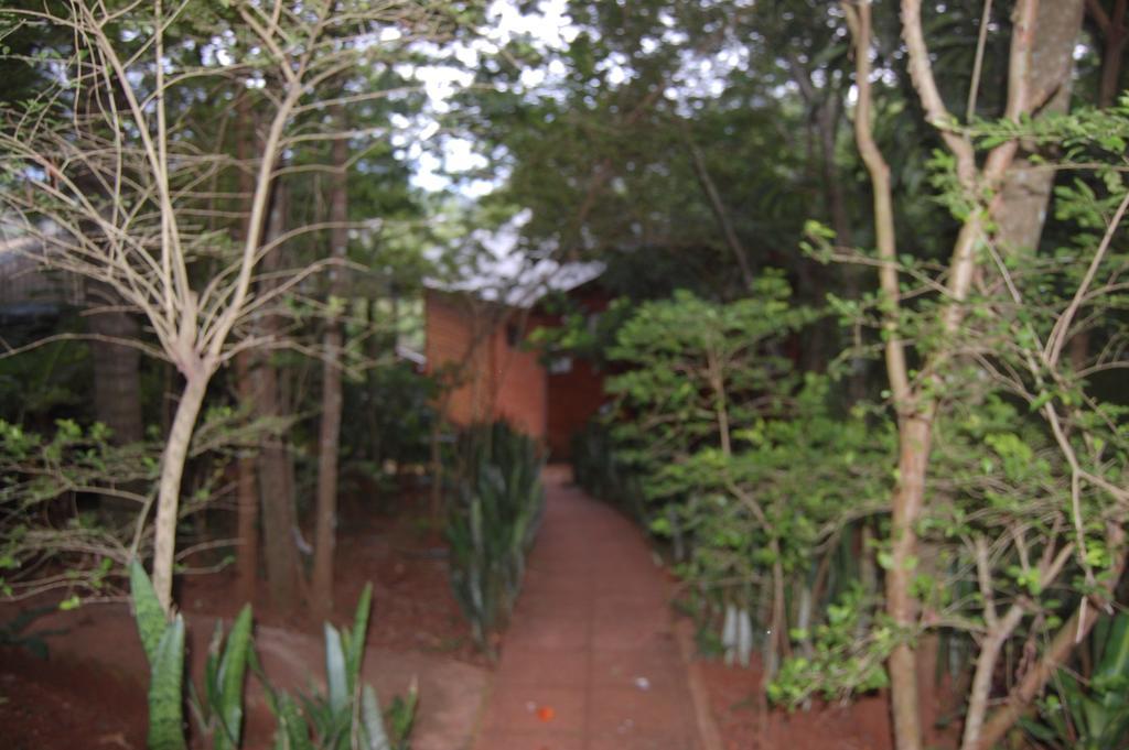 Panambi Lodge B&B Puerto Iguazú Exteriör bild