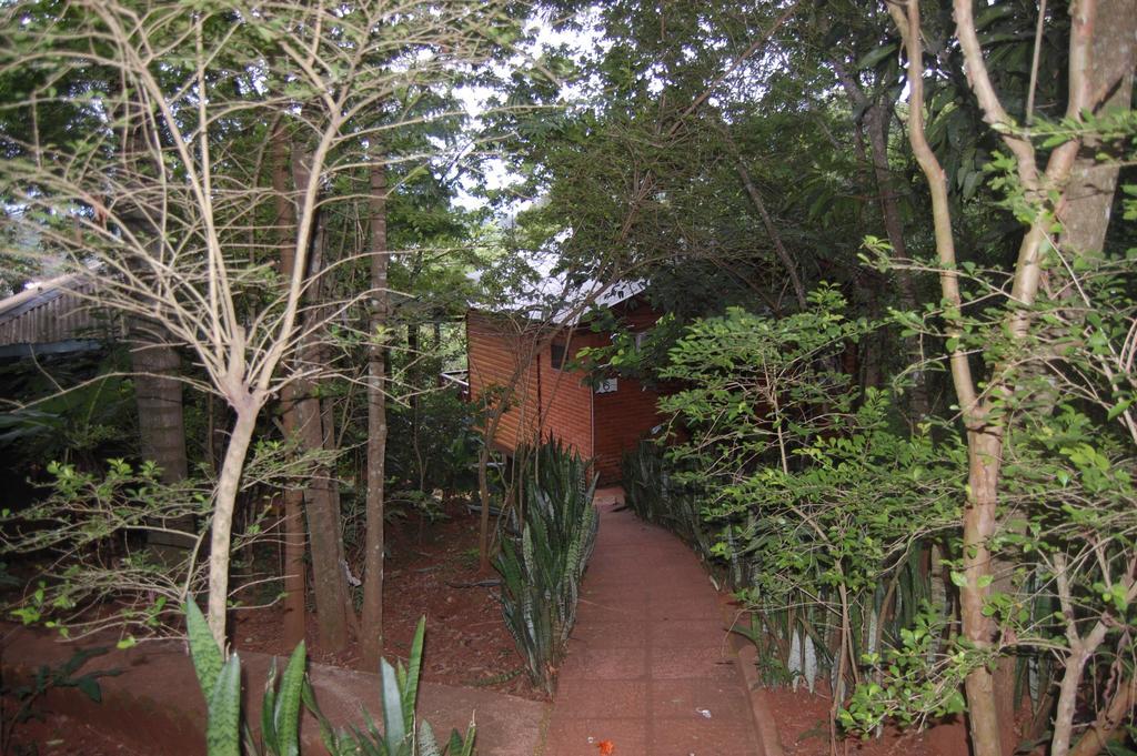 Panambi Lodge B&B Puerto Iguazú Exteriör bild