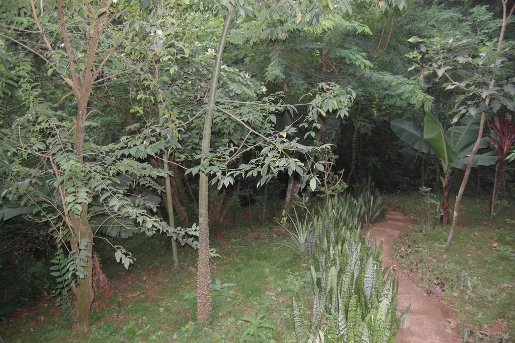 Panambi Lodge B&B Puerto Iguazú Exteriör bild
