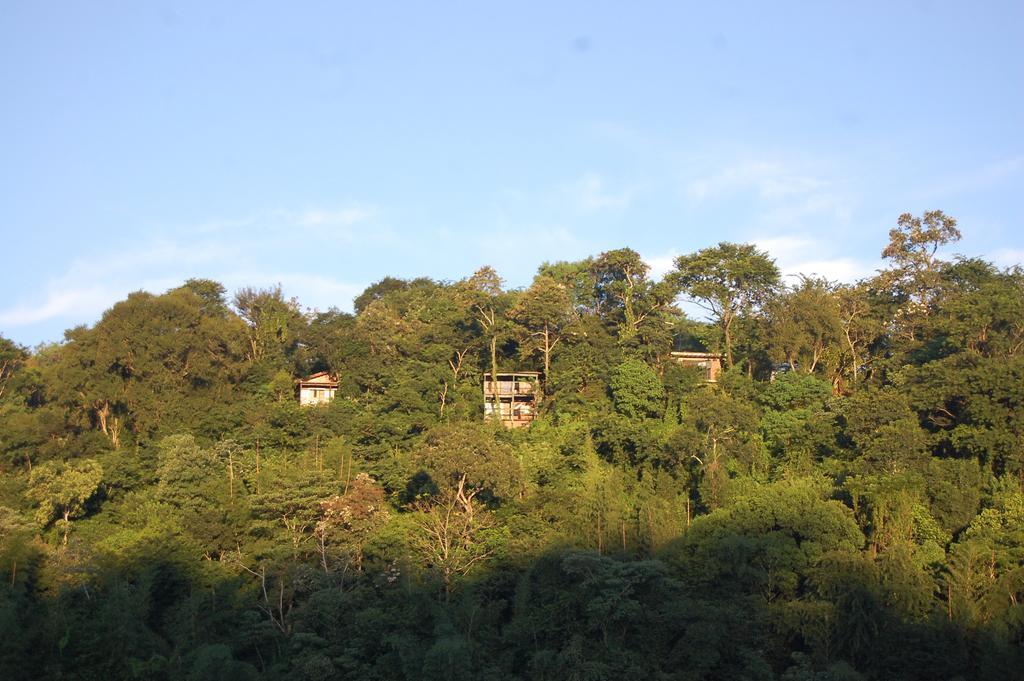 Panambi Lodge B&B Puerto Iguazú Exteriör bild