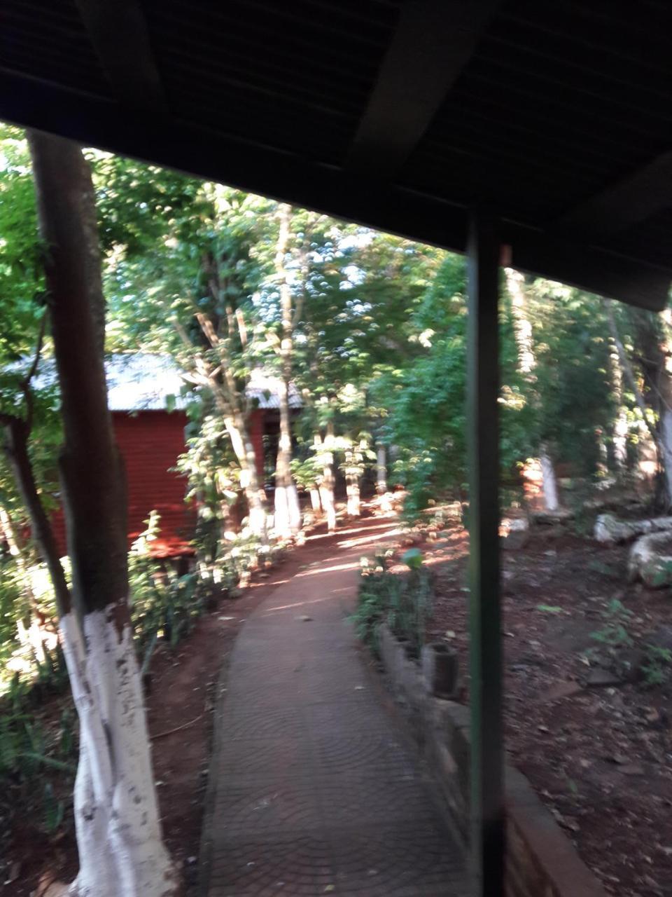 Panambi Lodge B&B Puerto Iguazú Exteriör bild